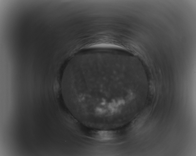 X0000089670371200706281343