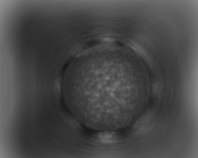 X0000089670373200706281343