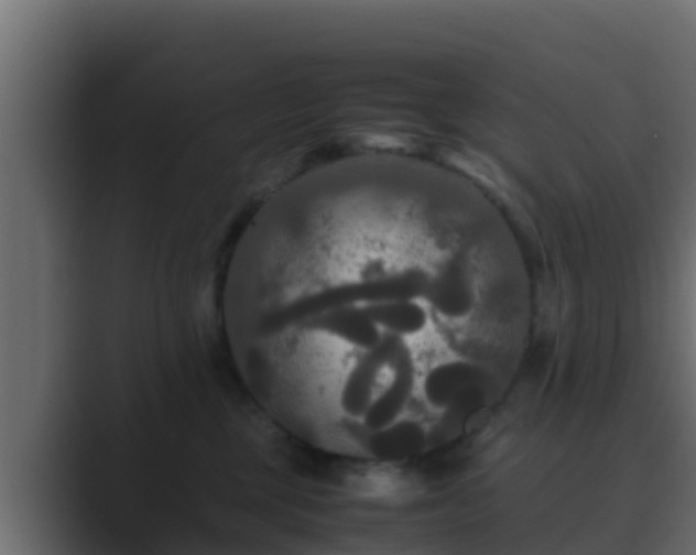 X0000089670377200706281344