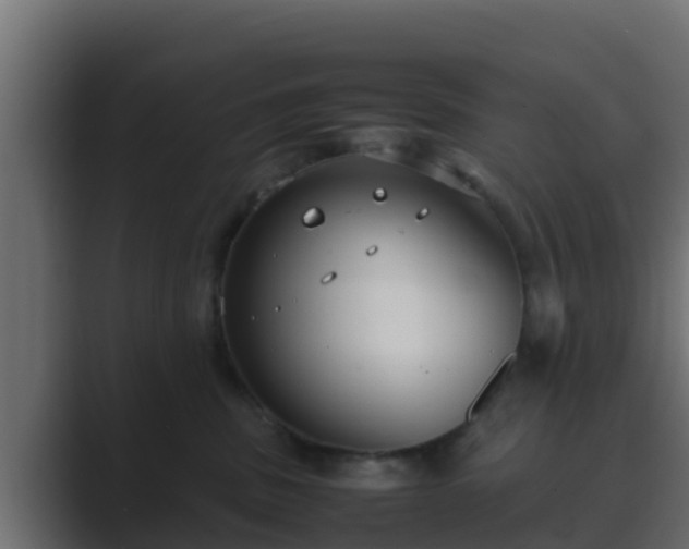 X0000089670379200706281344