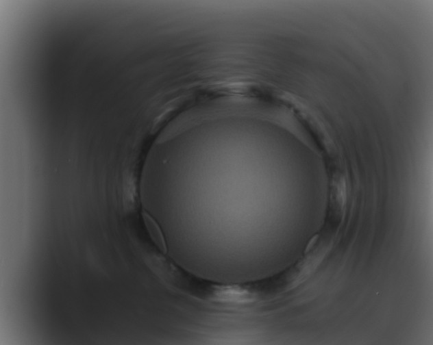 X0000089670380200706281344