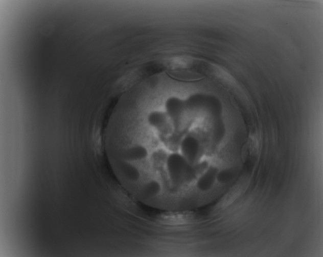 X0000089670381200706281344