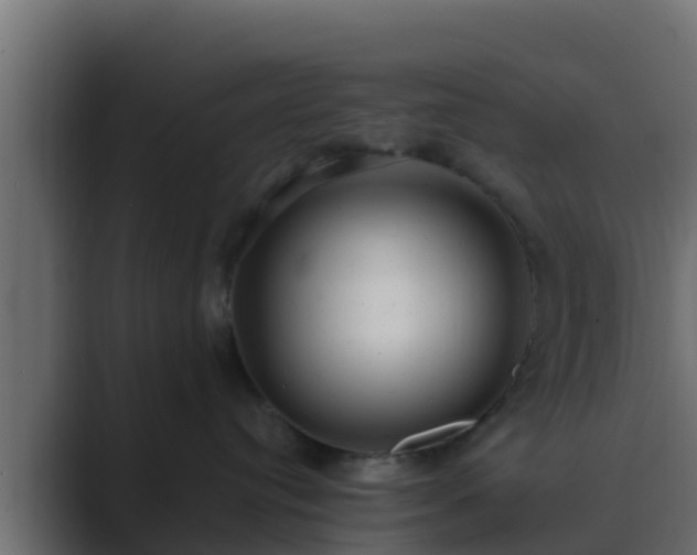 X0000089670384200706281344