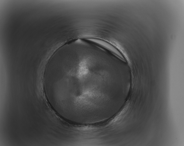 X0000089670385200706281343