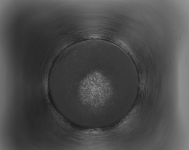X0000089670386200706281343