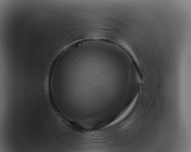 X0000089670387200706281343