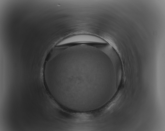 X0000089670389200706281343