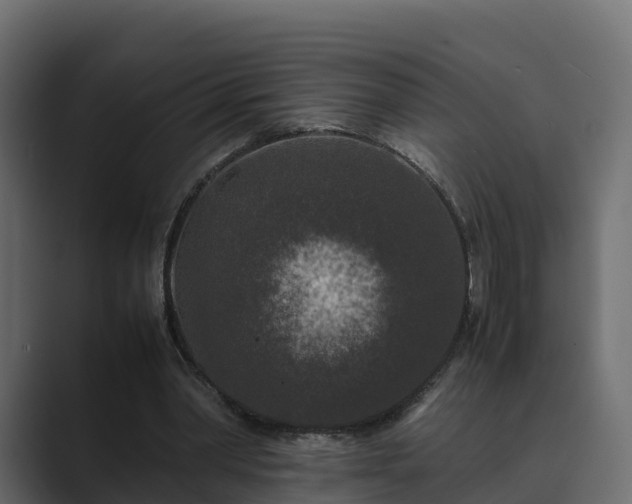 X0000089670390200706281343