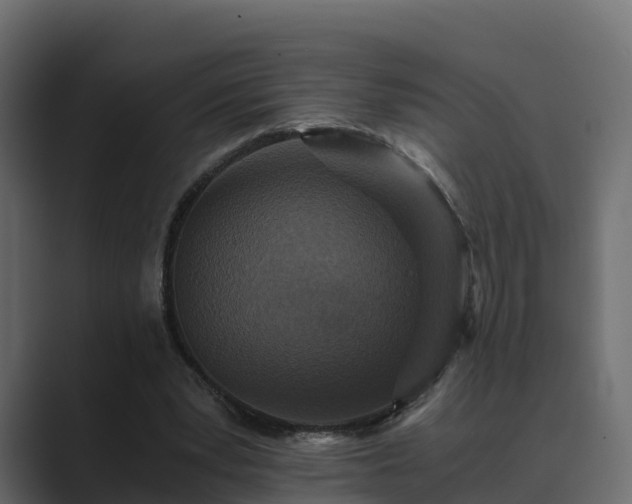 X0000089670391200706281343