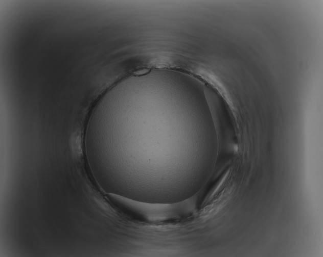 X0000089670393200706281343