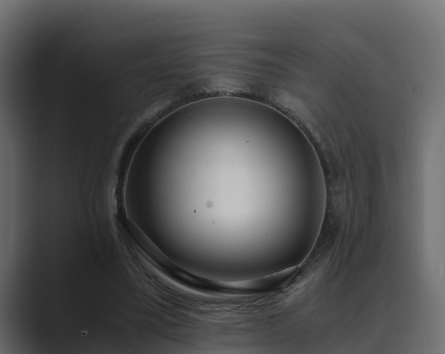 X0000089670395200706281343