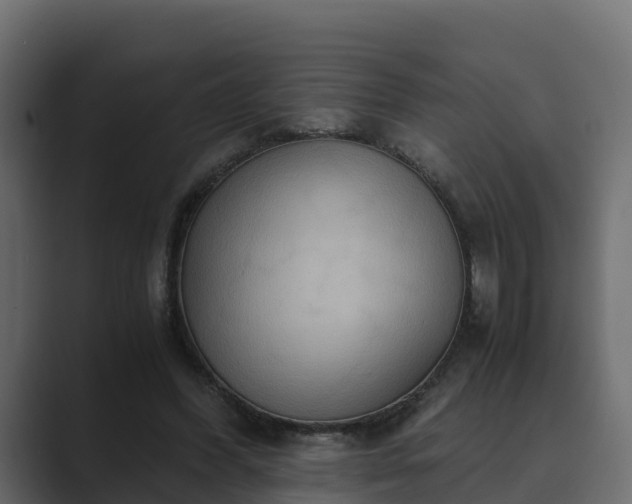 X0000089670396200706281343