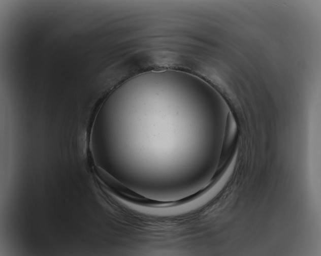 X0000089670397200706281343