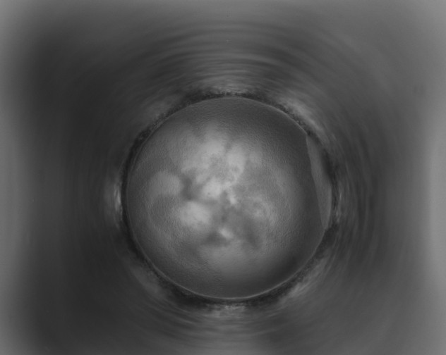 X0000089670398200706281343