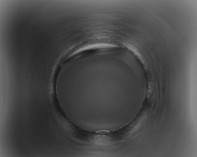 X0000089670399200706281343