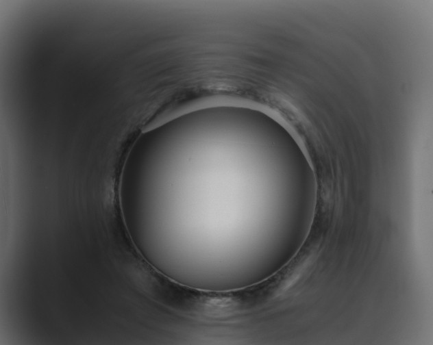 X0000089670401200706281343