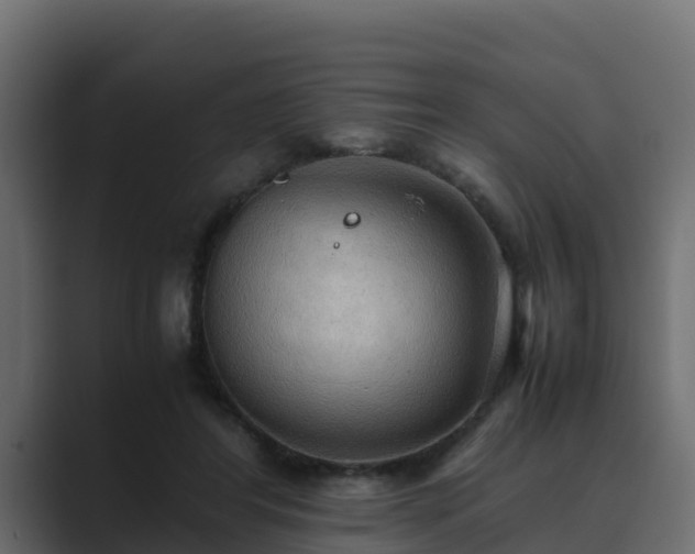 X0000089670404200706281343