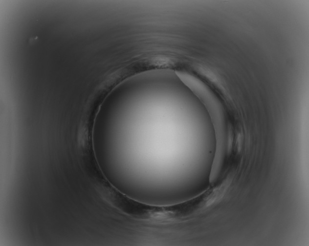 X0000089670407200706281343