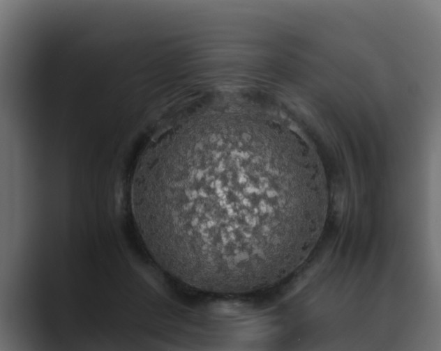 X0000089670408200706281343