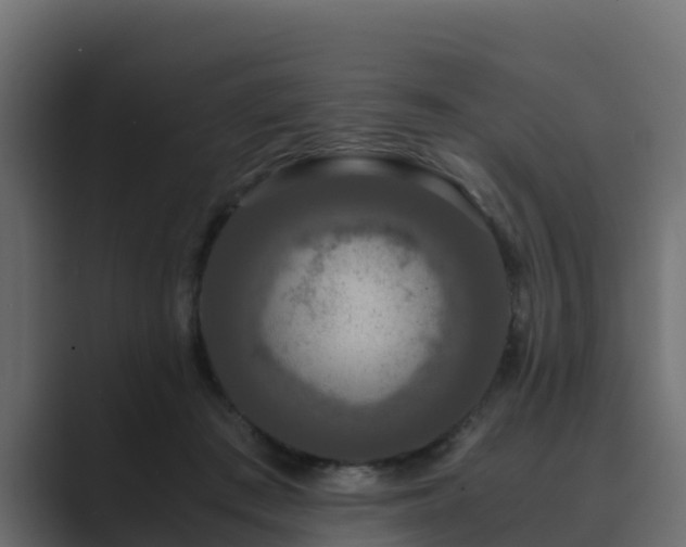 X0000089670409200706281343