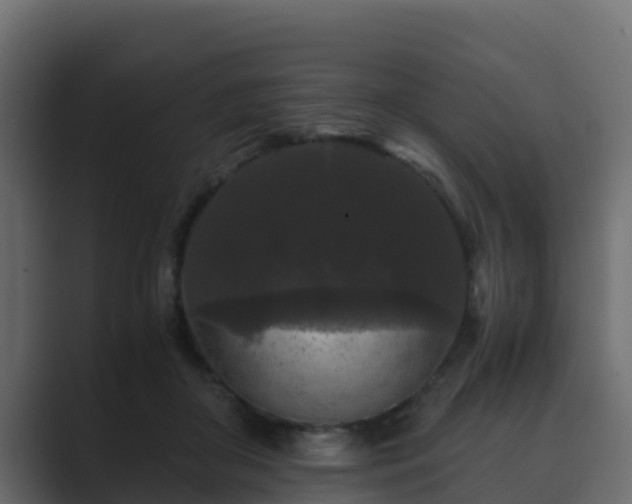 X0000089670410200706281343
