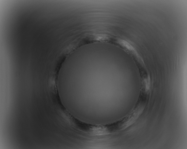 X0000089670415200706281343