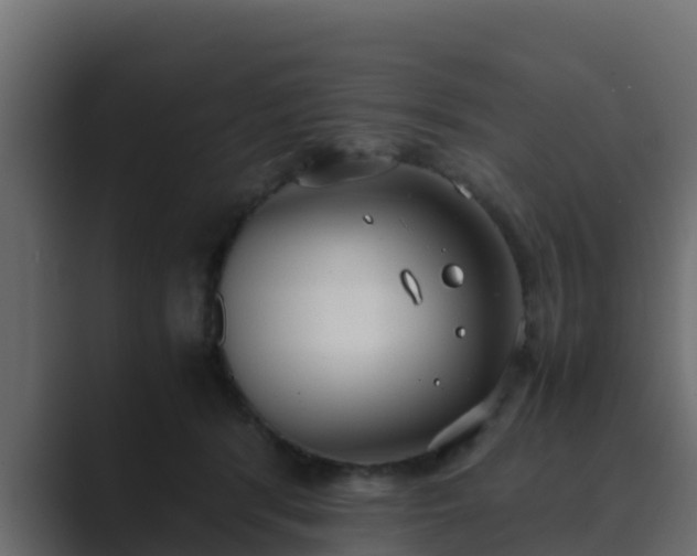 X0000089670416200706281343