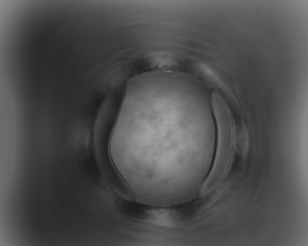 X0000089670417200706281343