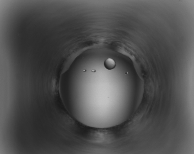 X0000089670420200706281343