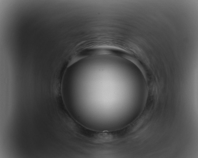 X0000089670421200706281343