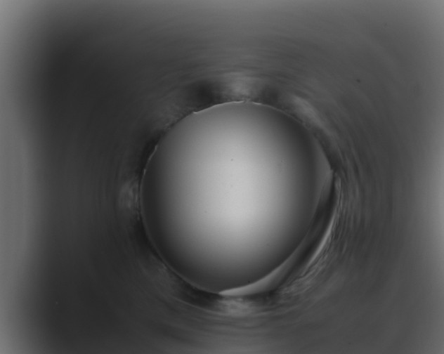 X0000089670425200706281343
