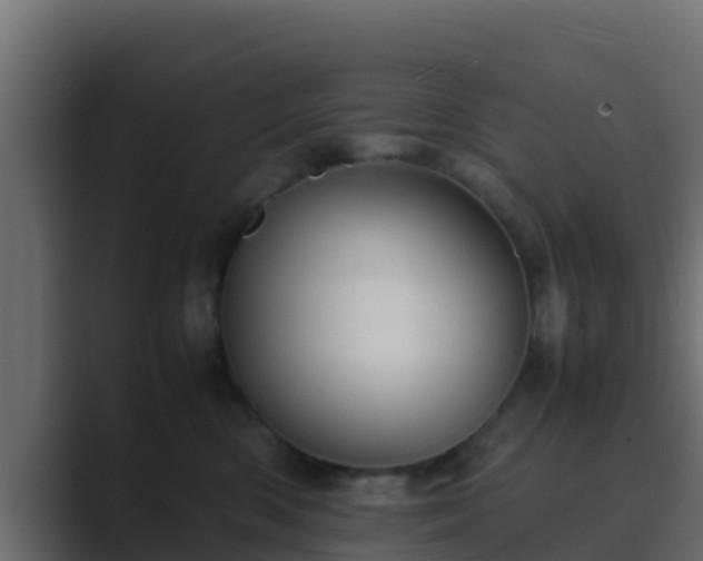X0000089670426200706281343