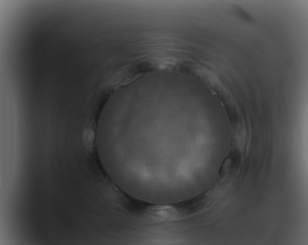 X0000089670427200706281343