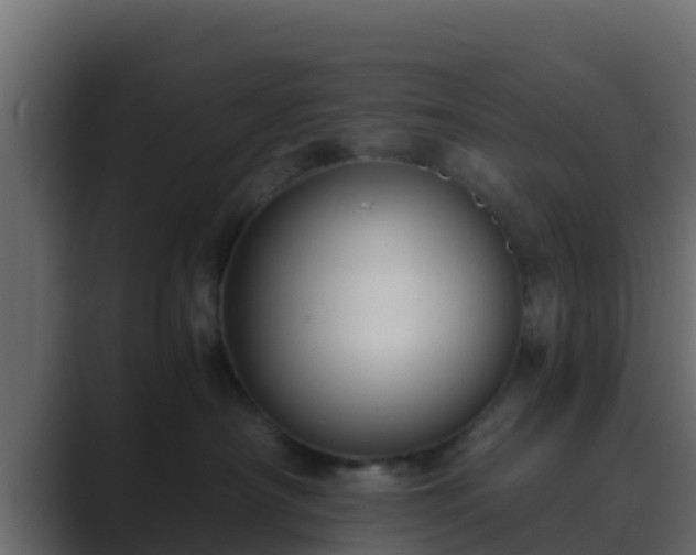 X0000089670430200706281343
