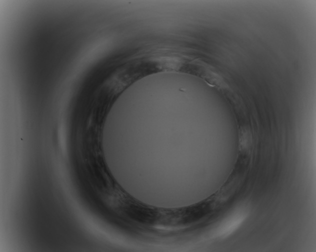 X0000089670431200706281343