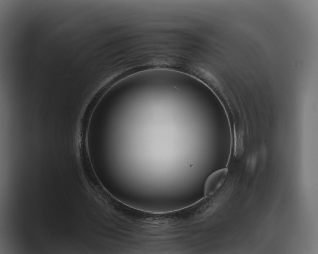 X0000089670435200706281342