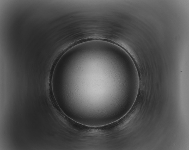 X0000089670437200706281342