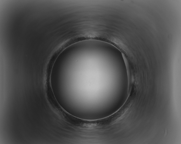X0000089670440200706281342