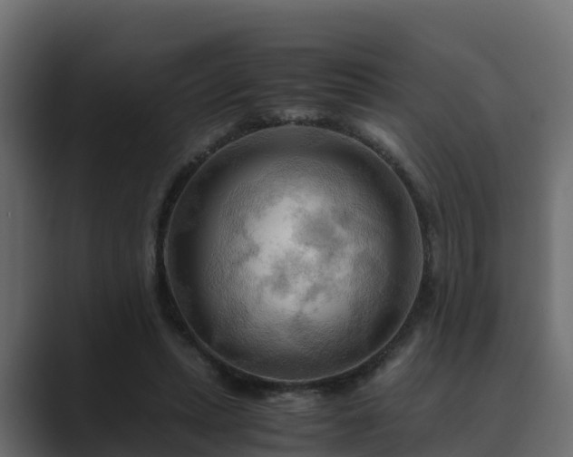 X0000089670447200706281342
