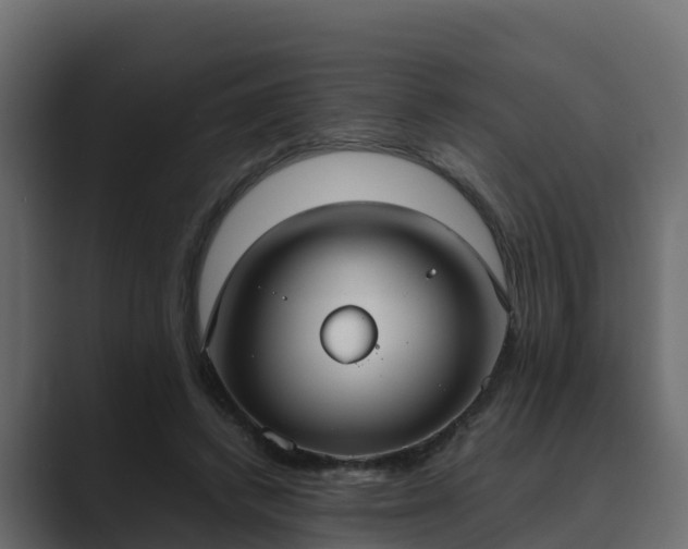 X0000089670448200706281342