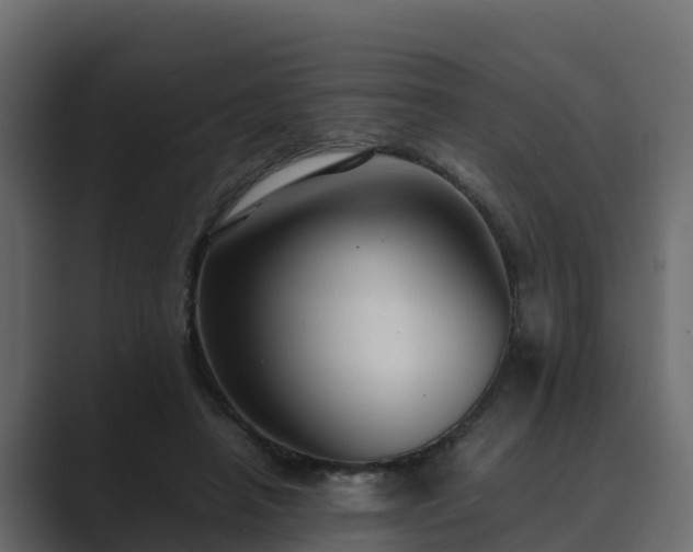 X0000089670450200706281342