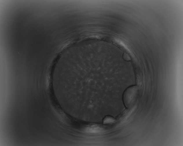 X0000089670451200706281342