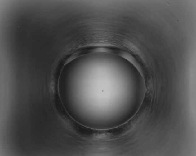 X0000089670452200706281342