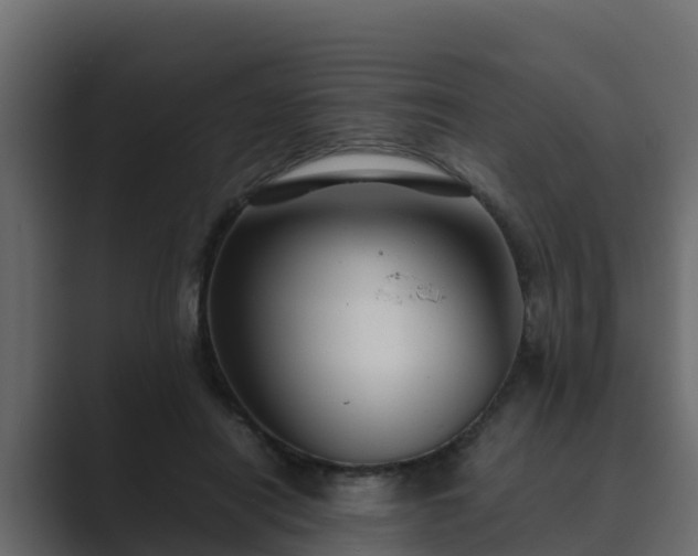X0000089670454200706281342