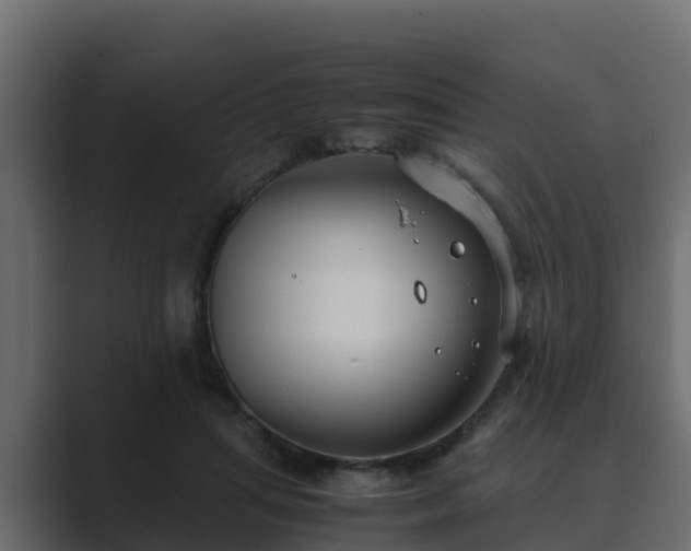X0000089670455200706281342
