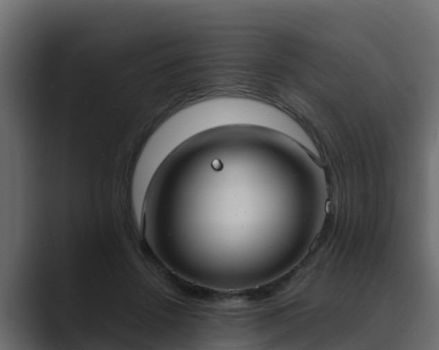 X0000089670456200706281342