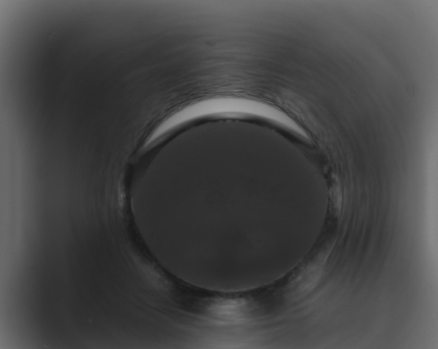 X0000089670458200706281342