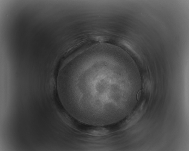 X0000089670459200706281342