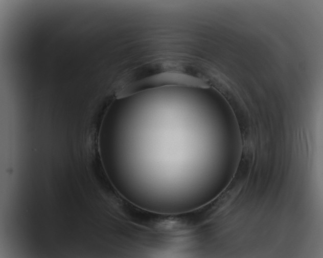 X0000089670460200706281342