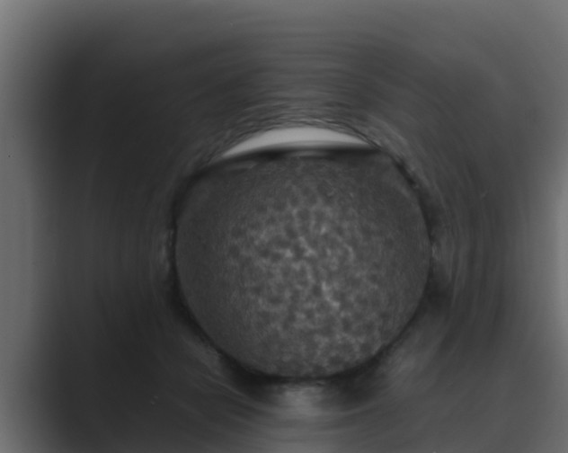 X0000089670462200706281342